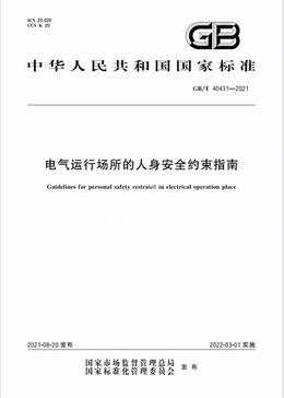 Chinese Standard: GB/T 40431-2021e