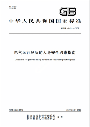 Chinese Standard: GB/T 40431-2021e