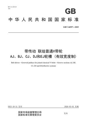 Chinese Standard: GB/T 46597-2025