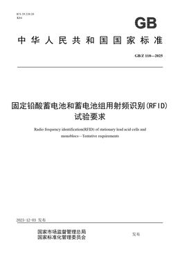Chinese Standard: GB/Z 110-2025