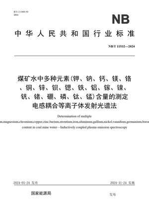 Chinese Standard: NB/T 11532-2024
