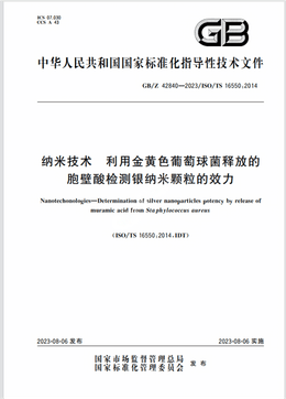 Chinese Standard: GB/Z 42840-2023