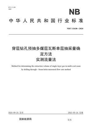 Chinese Standard: NB/T 11638-2024