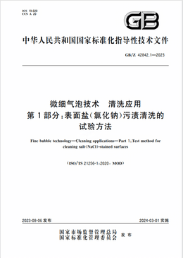 Chinese Standard: GB/Z 42842.1-2023