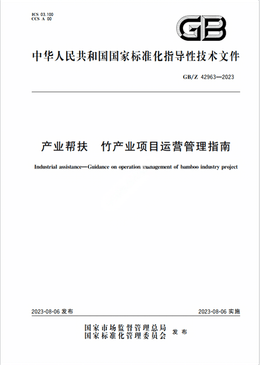 Chinese Standard: GB/Z 42963-2023