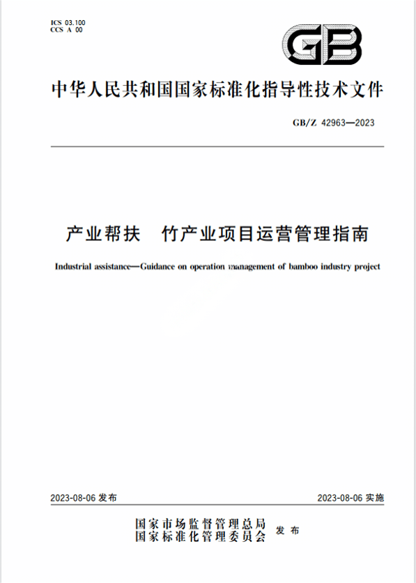 Chinese Standard: GB/Z 42963-2023