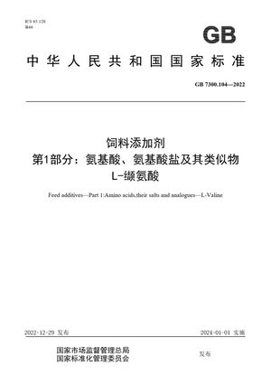 Chinese Standard: GB 7300.104-2022