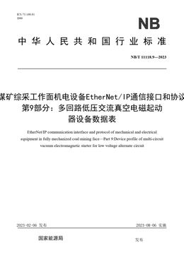 Chinese Standard: NB/T 11118.9-2023