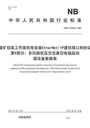Chinese Standard: NB/T 11118.9-2023