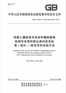 Chinese Standard: GB/Z 43468.1-2023