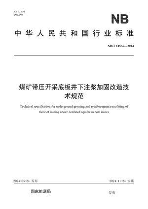 Chinese Standard: NB/T 11536-2024
