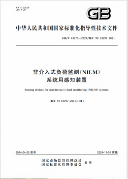Chinese Standard: GB/Z 43973-2024