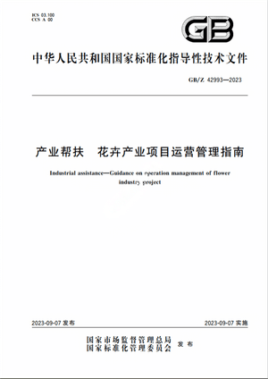 Chinese Standard: GB/Z 42993-2023