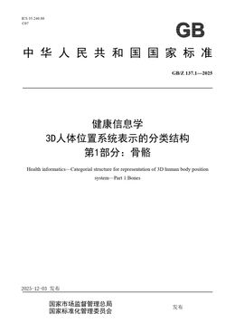Chinese Standard: GB/Z 137.1-2025