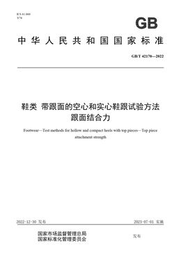 Chinese Standard: GB/T 42170-2022