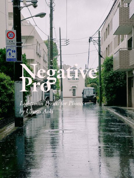 Negative Pro Lightroom Presets for Phones by Ulysses Aoki
