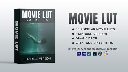 20 Popular MOIVE LUT Presets (Standard Version)