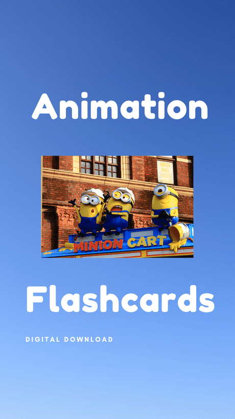 Animation Flashcards – Visual Learning Made Simple
