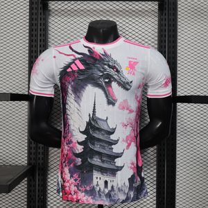 Japón Edición Especial 2025