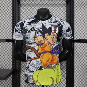 Japón Edición Especial 2025