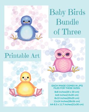 Baby Birds Bundle