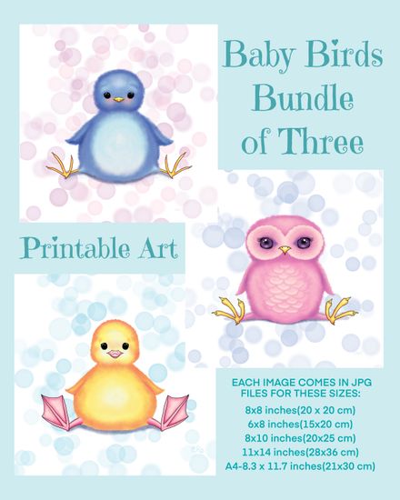 Baby Birds Bundle