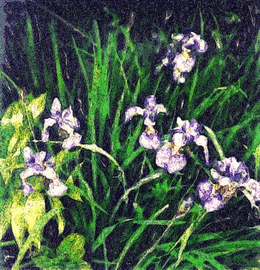 "Iris Garden" - Polaroid TRANSFORMATION