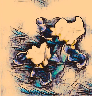 "Double Iris" - Polaroid TRANSFORMATION