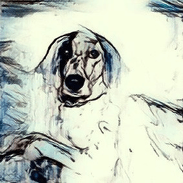 "Raw Dalmatian, Daisy" - Polaroid TRANSFORMATION