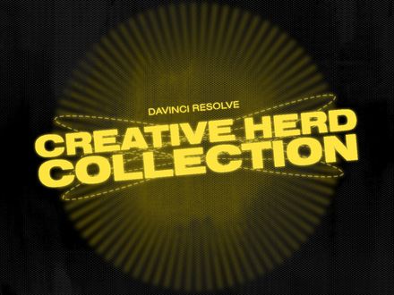 The Creative Herd Collection