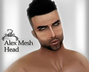 Alex Mesh Head