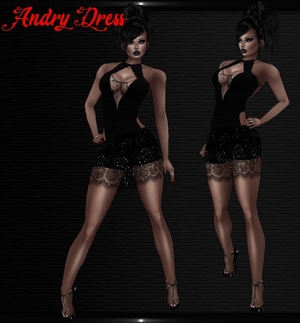 Andry Dress Catty Only