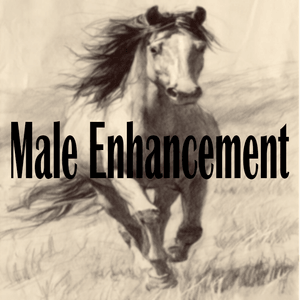 Sigil of Vital Ascendance