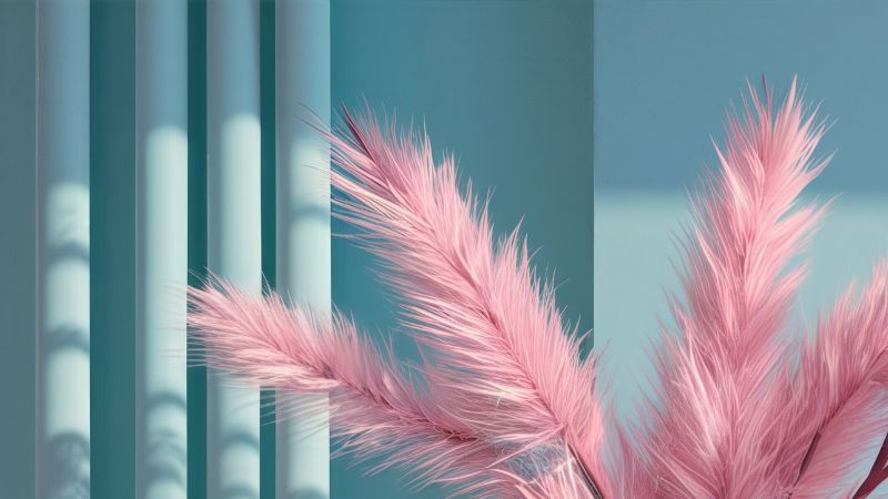 Pastel Oasis Setting 02