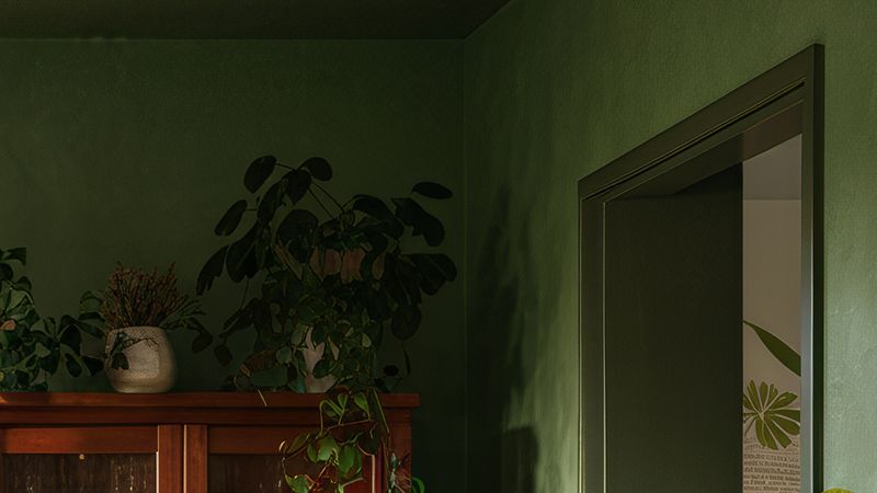 COMBO 02 - Zoom Background