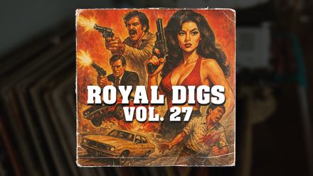 &quot;ROYAL DIGS 27&quot; Vintage Sample Pack