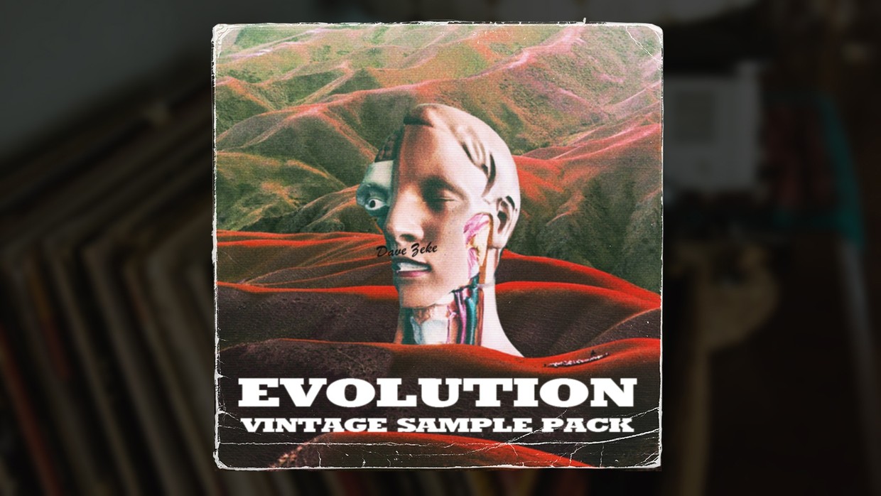 VINTAGE SAMPLE COLLECTION visual data 7