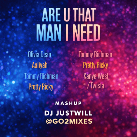Go2 mixes - Are u that Mani I need -  Dj Justwill edit