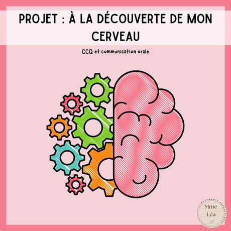 Projet cerveau