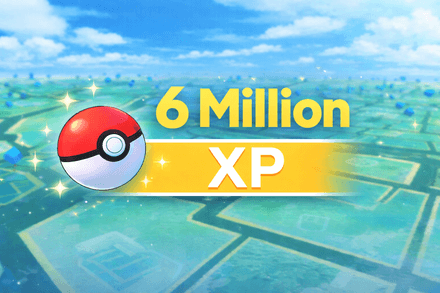 6 Million XP Farming Service