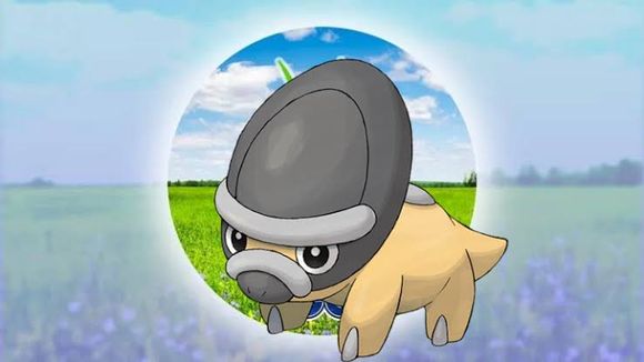 Shieldon Spotlight Hour Service