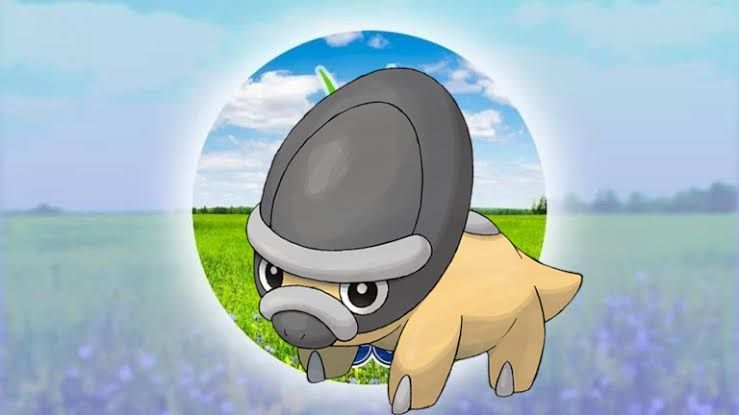 Shieldon Spotlight Hour Service