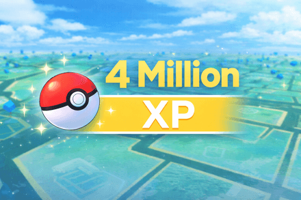 4 Million XP Farming Service