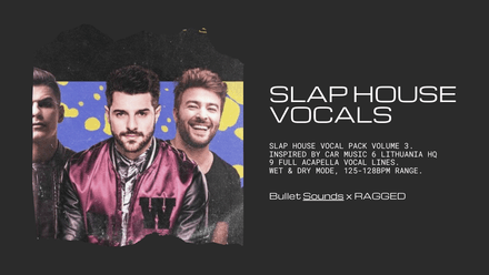 Slap House Vocal Pack V3