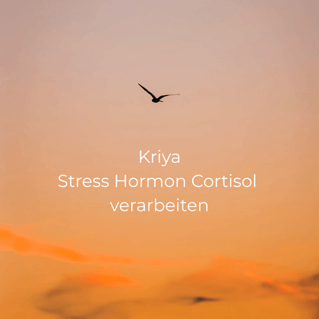 Kriya um das Stress Hormon Cortisol verarbeiten