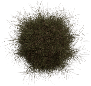 3D Models Elite Pack - Complete Indoor Plants Collection(180 Archviz Models)