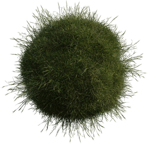 3D Models Advanced Pack - Interior Plant Library(30 Archviz Models)