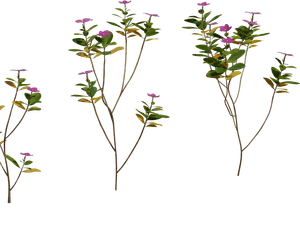 3D Models Master Pack - Complete Indoor Plants Collection(150 Archviz Models)