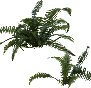 3D Models Ultimate Collection - Full Indoor Plant Library(250+ Archviz Models)