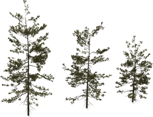 3D Models Creator Pack - Interior Vegetation Pack(19 Archviz Models)